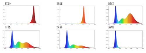 尊龙凯时-人生就是搏(中国)官方网站