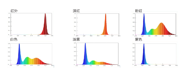 尊龙凯时-人生就是搏(中国)官方网站